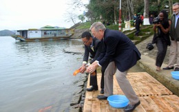 ​Đại sứ Mỹ thả cá chép tiễn ông Táo về trời