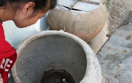 ​Gần 1.000 hộ dân mất tết vì không có nước ngọt