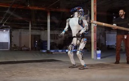 Xem robot biết tự đứng dậy khi bị xô ngã
