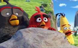 Xem trailer phim Angry Birds: Red bị cười nhạo trở thành anh hùng