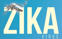 ​Virút Zika có liên quan tổn thương não thai nhi