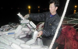 Cận cảnh tàu cá Quảng Nam bị tàu hải cảnh Trung Quốc cướp phá