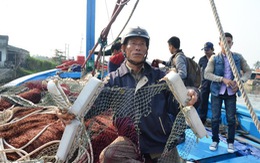 Yêu cầu Trung Quốc bồi thường cho tàu cá bị cướp phá