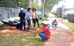 Áp thuế giá thép tăng vụt, có tích trữ đầu cơ?