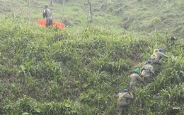 Rơi máy bay quân sự Ecuador, 22 quân nhân tử nạn