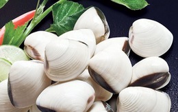 ​Bình Thuận cấm đánh bắt các loài hải đặc sản trong mùa sinh sản