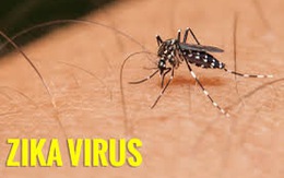 Làm cách nào phòng bệnh do virút Zika?