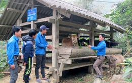 Đội thanh niên xung kích nơi biên ải