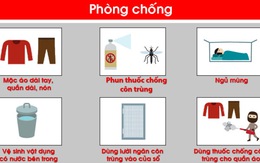 Infographic triệu chứng và cách phòng chống Zika