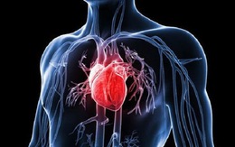 Điều trị suy tim bằng liệu pháp tế bào gốc