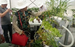 ​Xây dựng thí điểm làng nghề tập trung tại Vườn thực vật Củ Chi