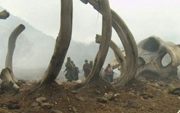 Điểm tin: xem hậu trường phim Kong: Skull Island tại Việt Nam