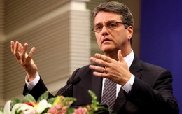 Tổng giám đốc WTO lắng nghe chính phủ và doanh nghiệp VN