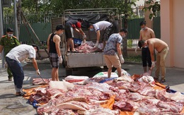 Bắt 1 tấn thịt heo bốc mùi hôi thối trên đường ra chợ
