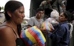 ​Số người chết vì động đất ở Ecuador tăng lên hơn 600