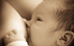 Nhiều trẻ không được bú sữa mẹ do mẹ thiếu kiên nhẫn