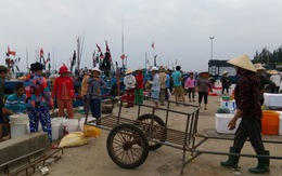 Ngư dân Hà Tĩnh đổ xô lặn sò thay đánh bắt cá