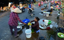 Chợ tự phát tràn lan, khó kiểm tra an toàn thực phẩm