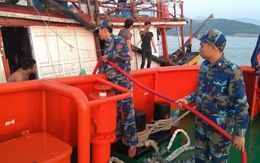 Cứu tàu cá cùng 7 thuyền viên gặp nạn ở Quảng Bình