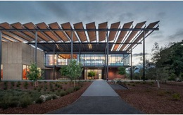 Chùm ảnh "nhà xanh" mới của Đại học Stanford (Mỹ)