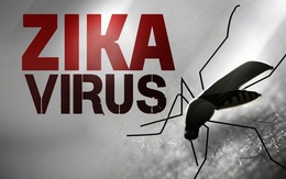 ​TP.HCM đã có 35 người mắc zika