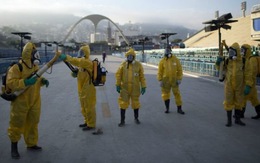Giới khoa học muốn dời địa điểm hoặc hoãn Olympic 2016 vì Zika