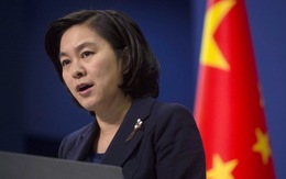Trung Quốc không muốn Đài Loan có mặt ở Mỹ ngày 20-1