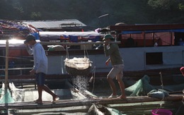 Tôm sông Đà - ăn để nhớ Phiêng Lanh
