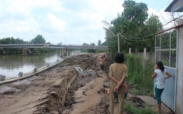 Thuê giám định tìm nguyên nhân bờ kè tiền tỉ đổ sập