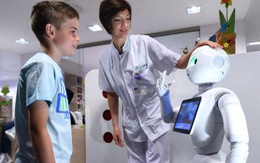 Bệnh viện Bỉ dùng robot làm tiếp tân