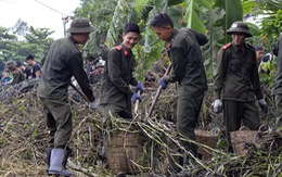 Chiến sĩ trẻ góp sức cho thành phố xanh