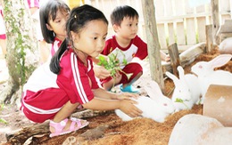 ​Cùng bé khám phá “Funny Farm” tại trường Saigon Academy