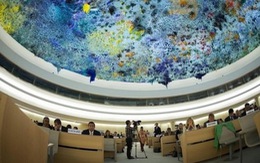 Liên hiệp quốc thông qua nghị quyết về quyền tự do trên mạng