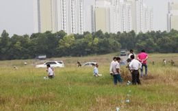 Tuyên án 8 người gây rối tại dự án Ecopark - Văn Giang