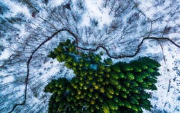 ​Những bức ảnh chụp bằng flycam đẹp nhất thế giới