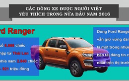 Infographic 9 dòng xe đang được người Việt ưa chuộng