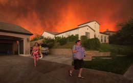 Cháy rừng dữ dội ở California, hàng chục ngàn người sơ tán