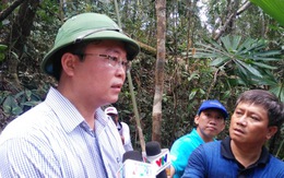 Họp nóng vụ phá rừng pơmu: đề nghị Lào khởi tố vụ án
