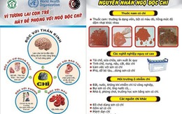 ​Ảnh hưởng của chì đến sức khỏe con người