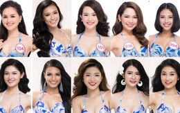 Nhan sắc của 36 thí sinh Hoa hậu Việt Nam 2016