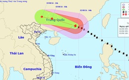 ​Bão Nida vào Hong Kong, hàng trăm chuyến bay bị hủy