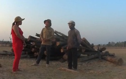 Lãnh đạo Đắk Lắk lên tiếng về phóng sự phá rừng của VTV
