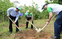 Khai mạc chương trình Du lịch xanh Phú Quốc