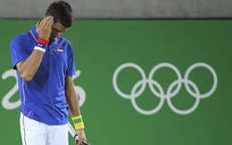 Del Potro loại Djokovic khỏi nội dung đơn nam môn quần vợt