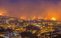 Cháy rừng dữ dội ở Bồ Đào Nha, 3 người chết