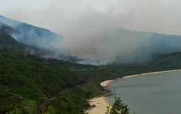Cháy lớn tại rừng Nam Hải Vân