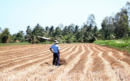 Lập bản đồ hạn mặn cho Đồng bằng sông Cửu Long