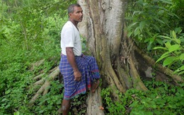 Người thổ dân 40 năm tự trồng rừng