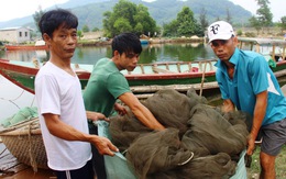 Thừa Thiên - Huế thêm ngư dân vùng cửa biển được bồi thường