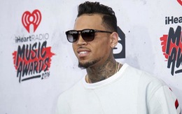 Chris Brown bị bắt vì dùng súng uy hiếp cựu hoa hậu